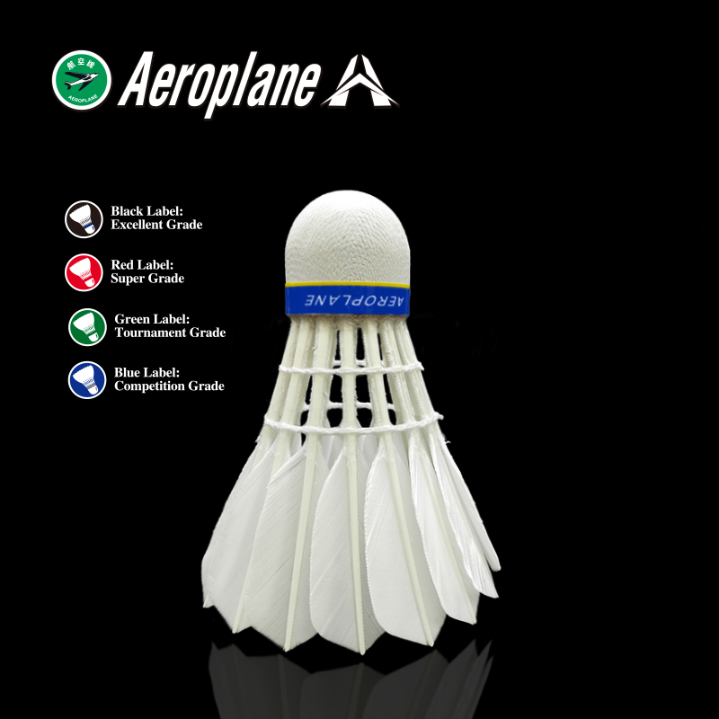 Aeroplane-G2130 Best Training Shuttlecock