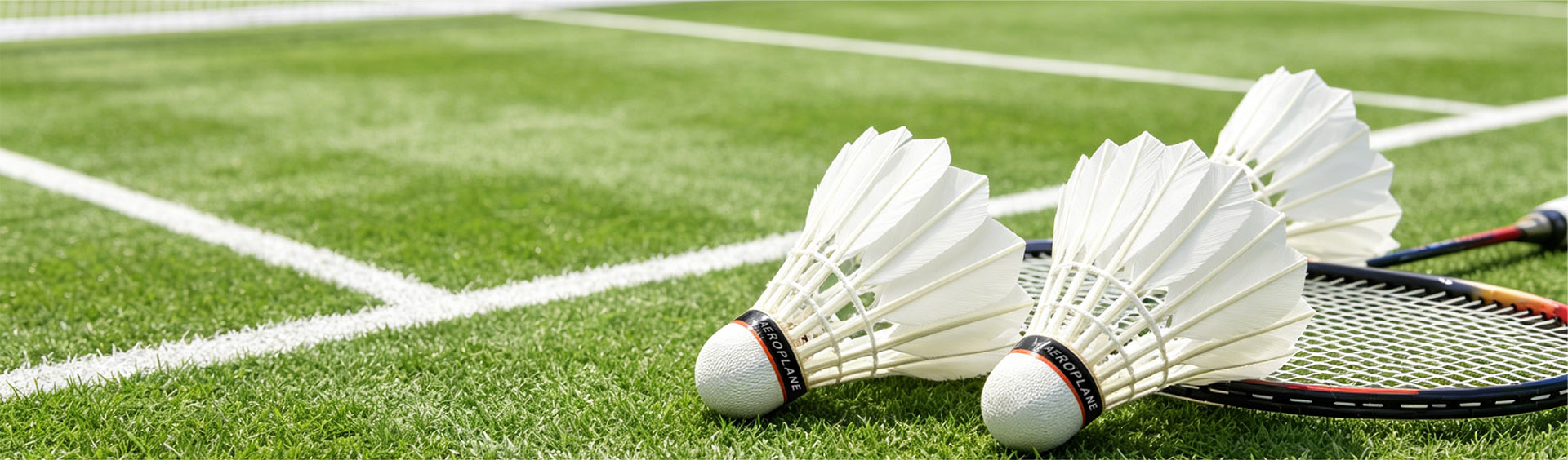 Games Sponsor