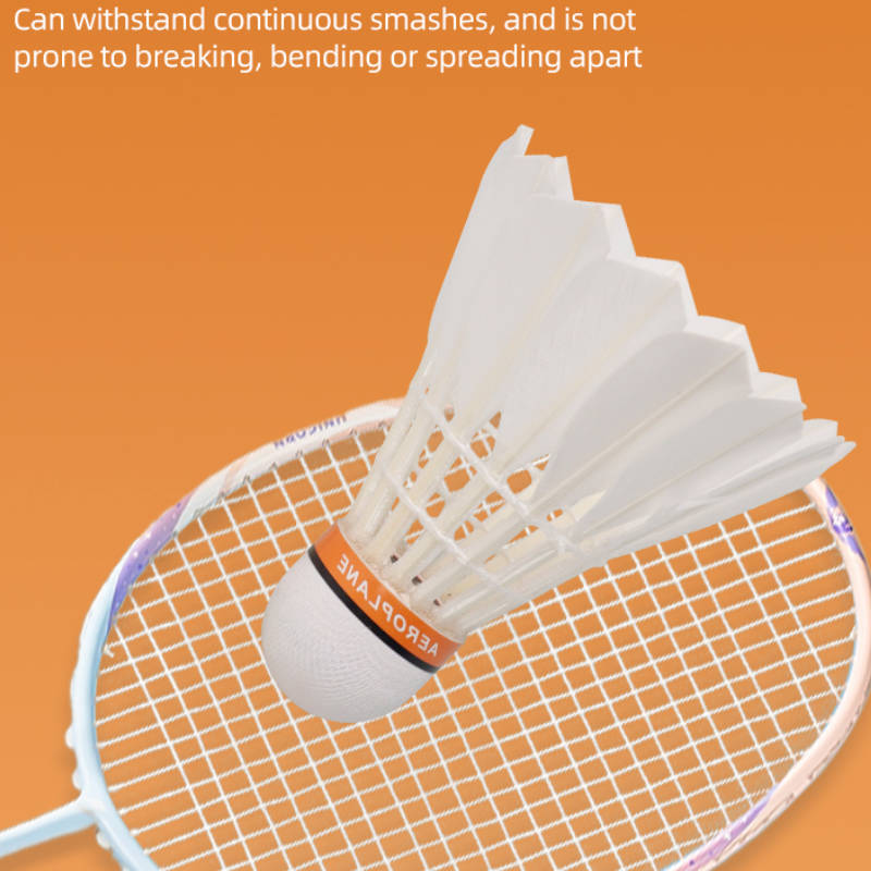 Aeroplane-G4130 Best Durable Shuttlecock 