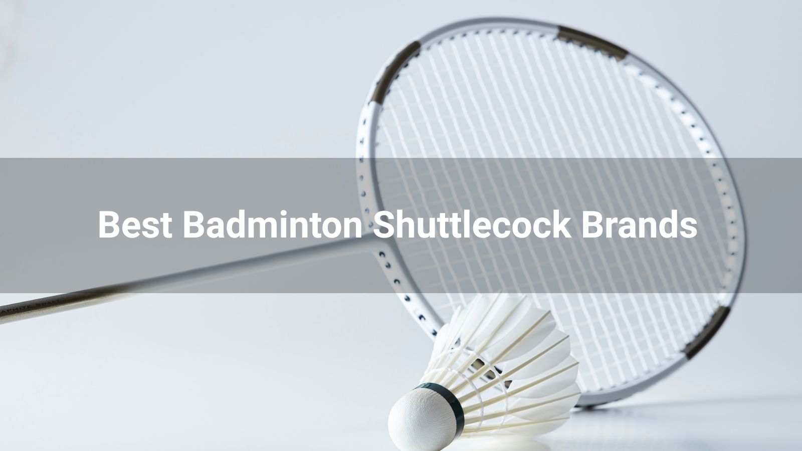 10 Best Badminton Shuttlecock Brands 2026