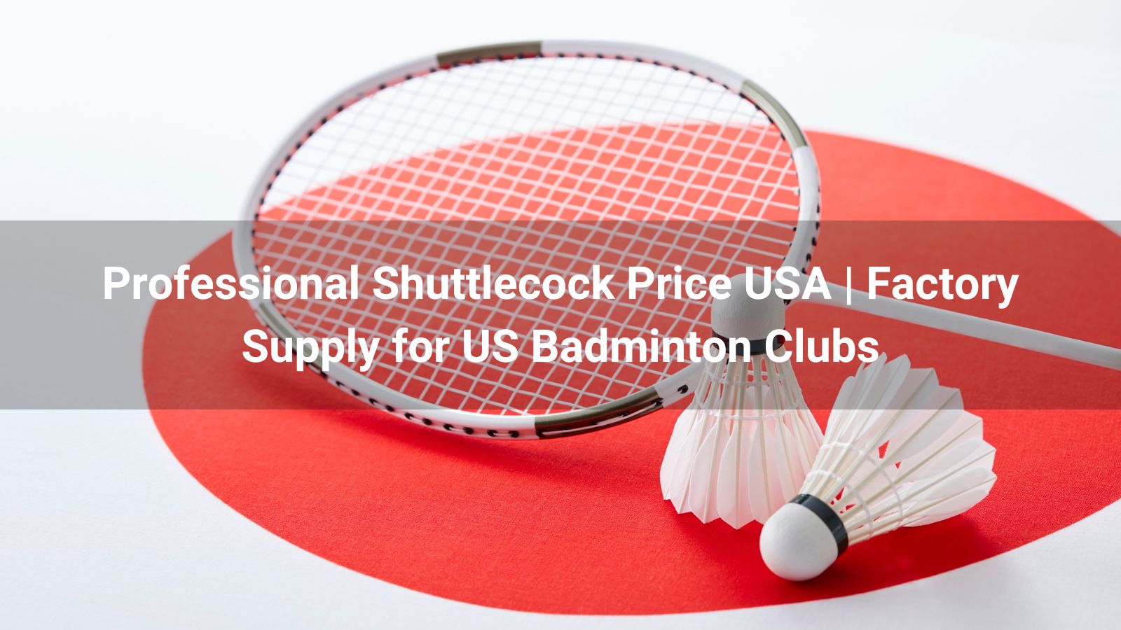 Professional Shuttlecock Price USA | Factory Supply for US Badminton Clubs (2026)