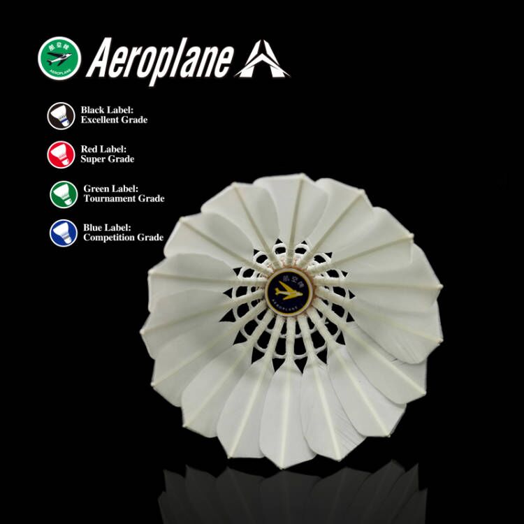 Aeroplane-G2130 Best Training Shuttlecock