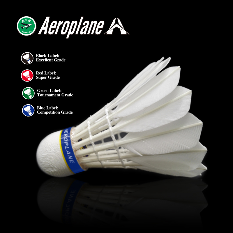 Aeroplane-G2130 Best Training Shuttlecock