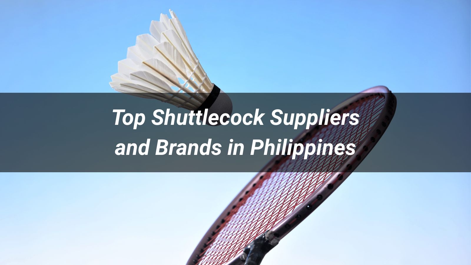 Top 5 Shuttlecock Suppliers and Brands in Philippines 2026