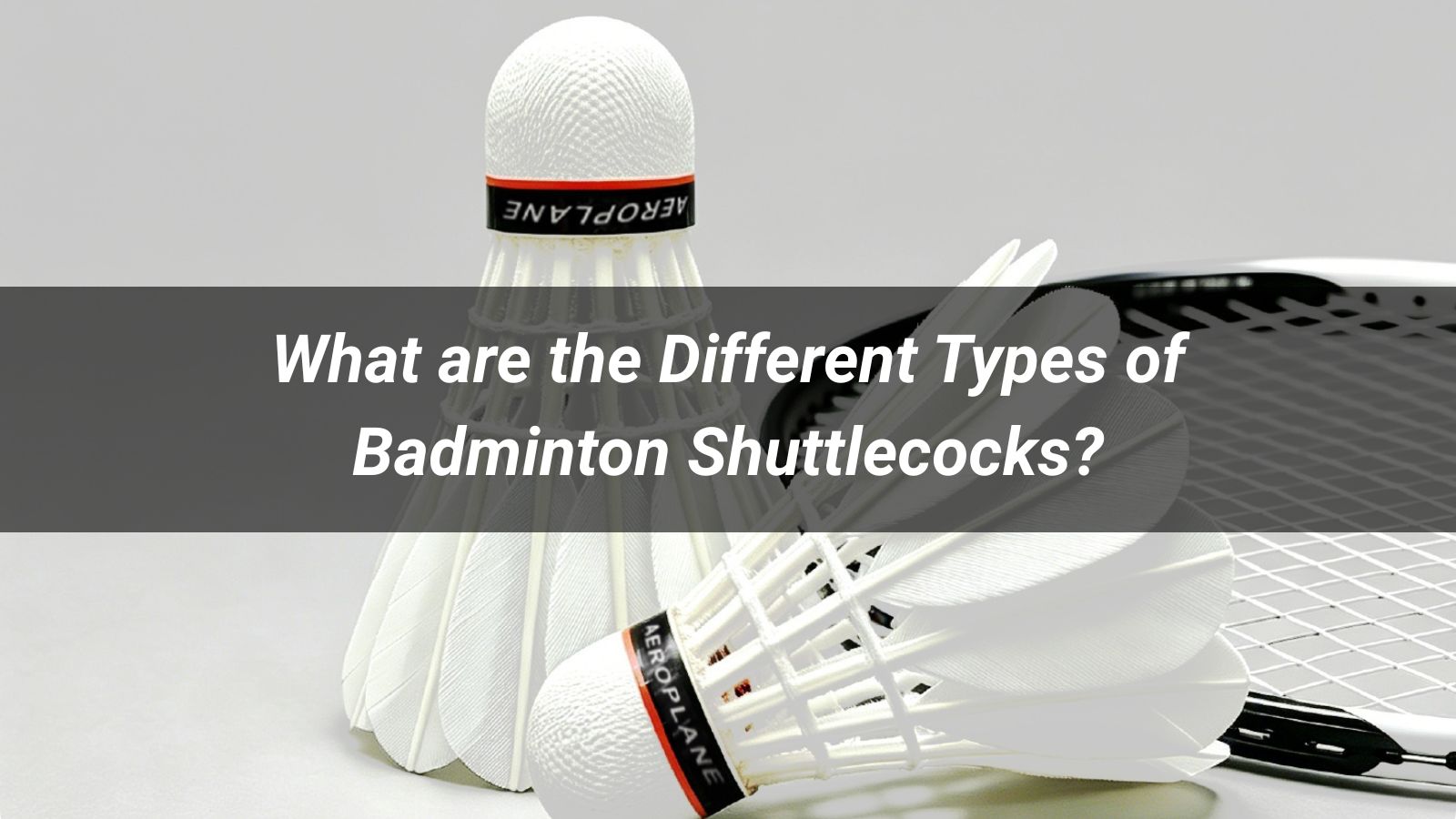 What are the Different Types of Badminton Shuttlecocks?