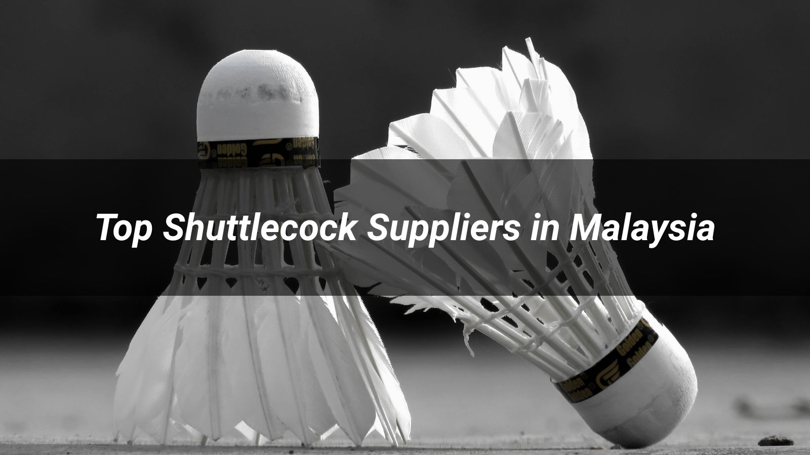 Top 10 Shuttlecock Suppliers and Brands in Malaysia 2026