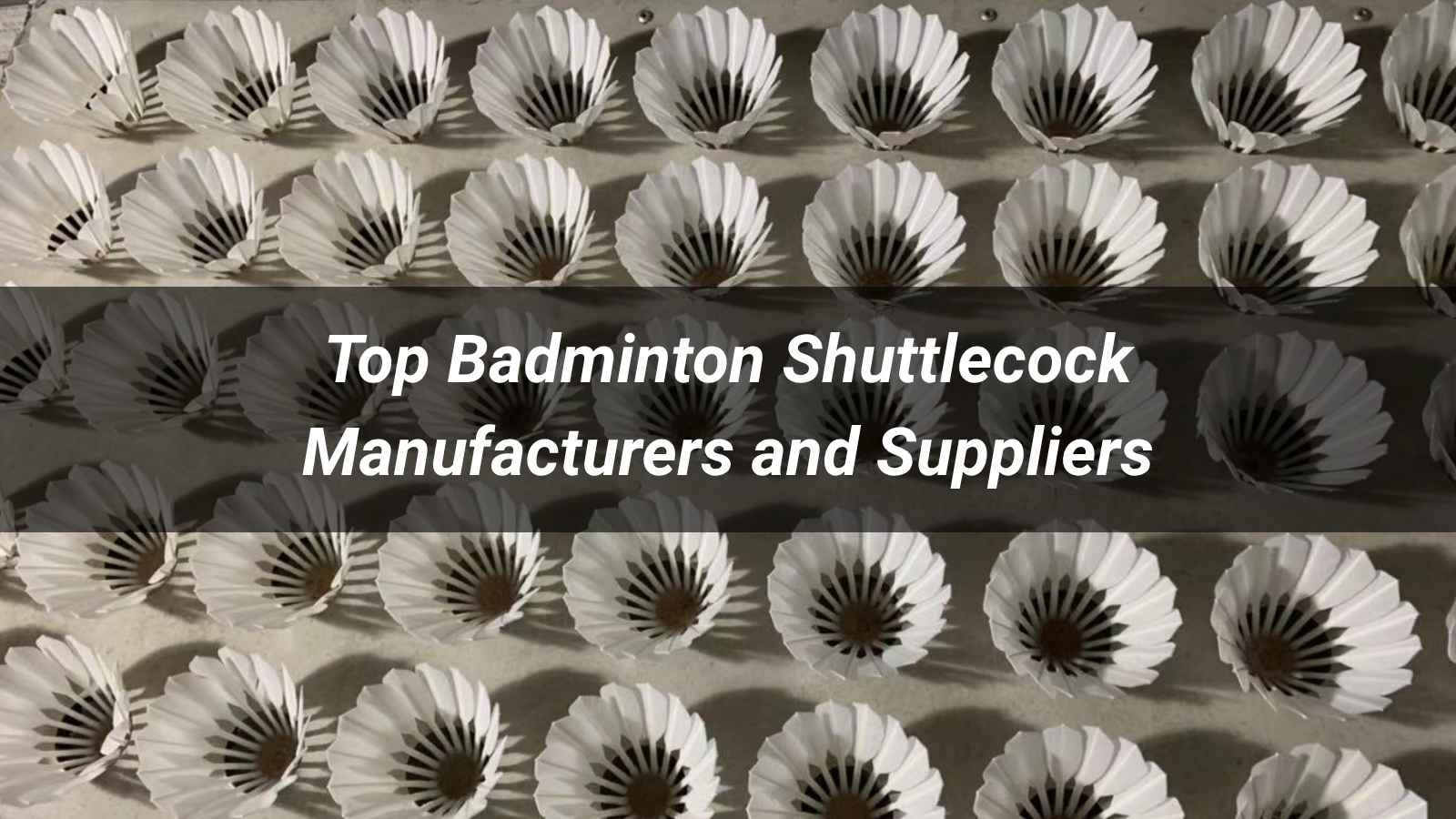 Top 10 Badminton Shuttlecock Manufacturers and Suppliers 2026