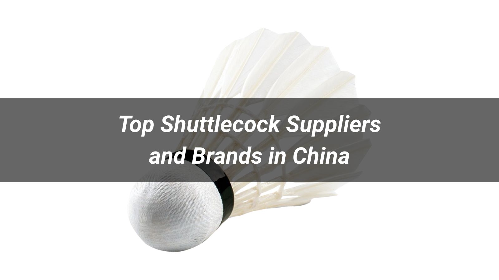 Top 5 Shuttlecock Suppliers and Brands in China 2026