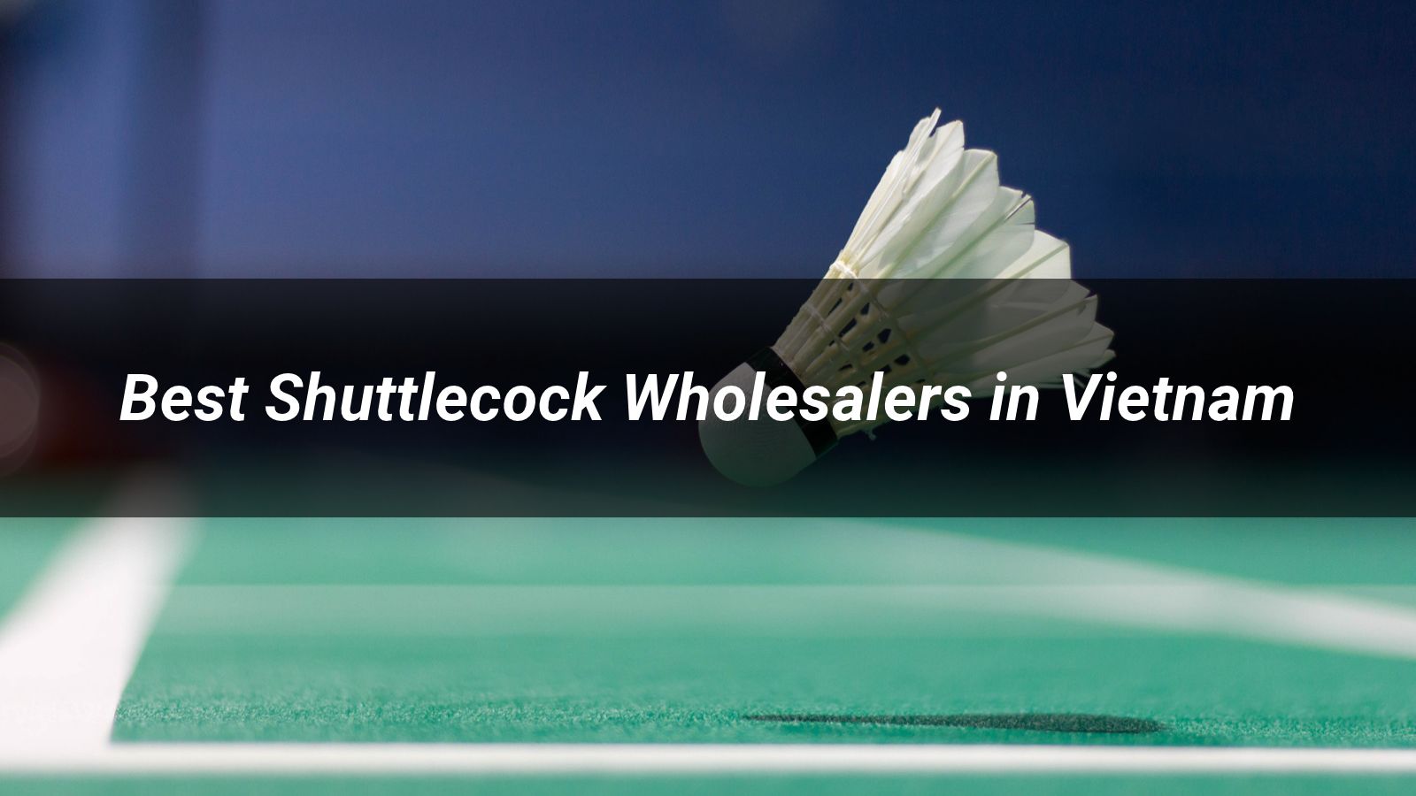Best 5 Shuttlecock Wholesalers in Vietnam 2026