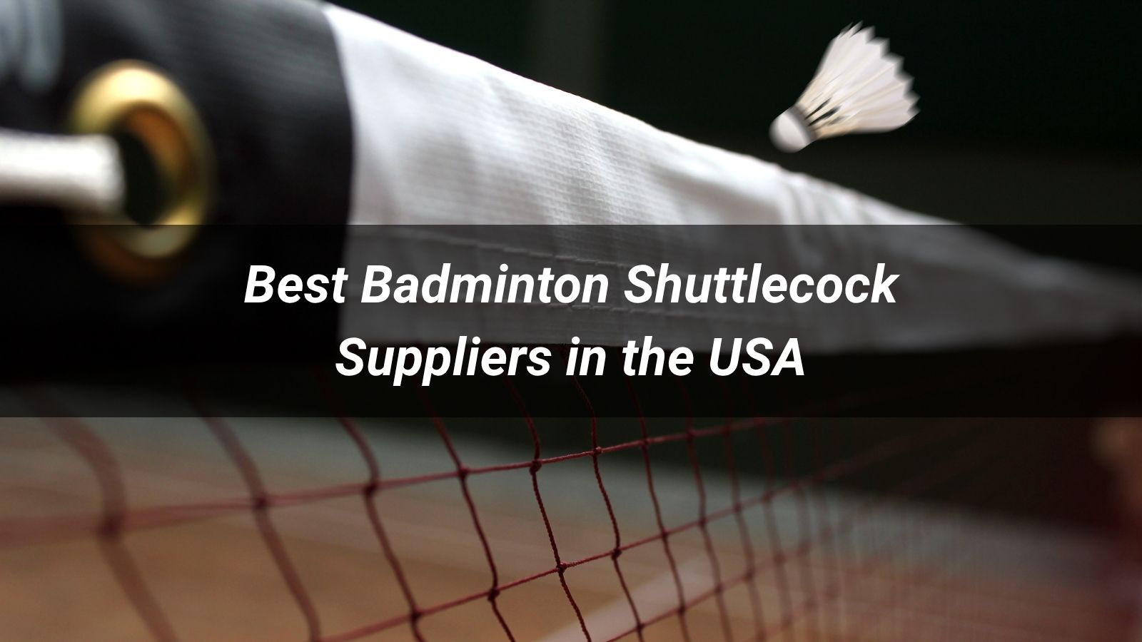 Best 10 Badminton Shuttlecock Suppliers in the USA 2026